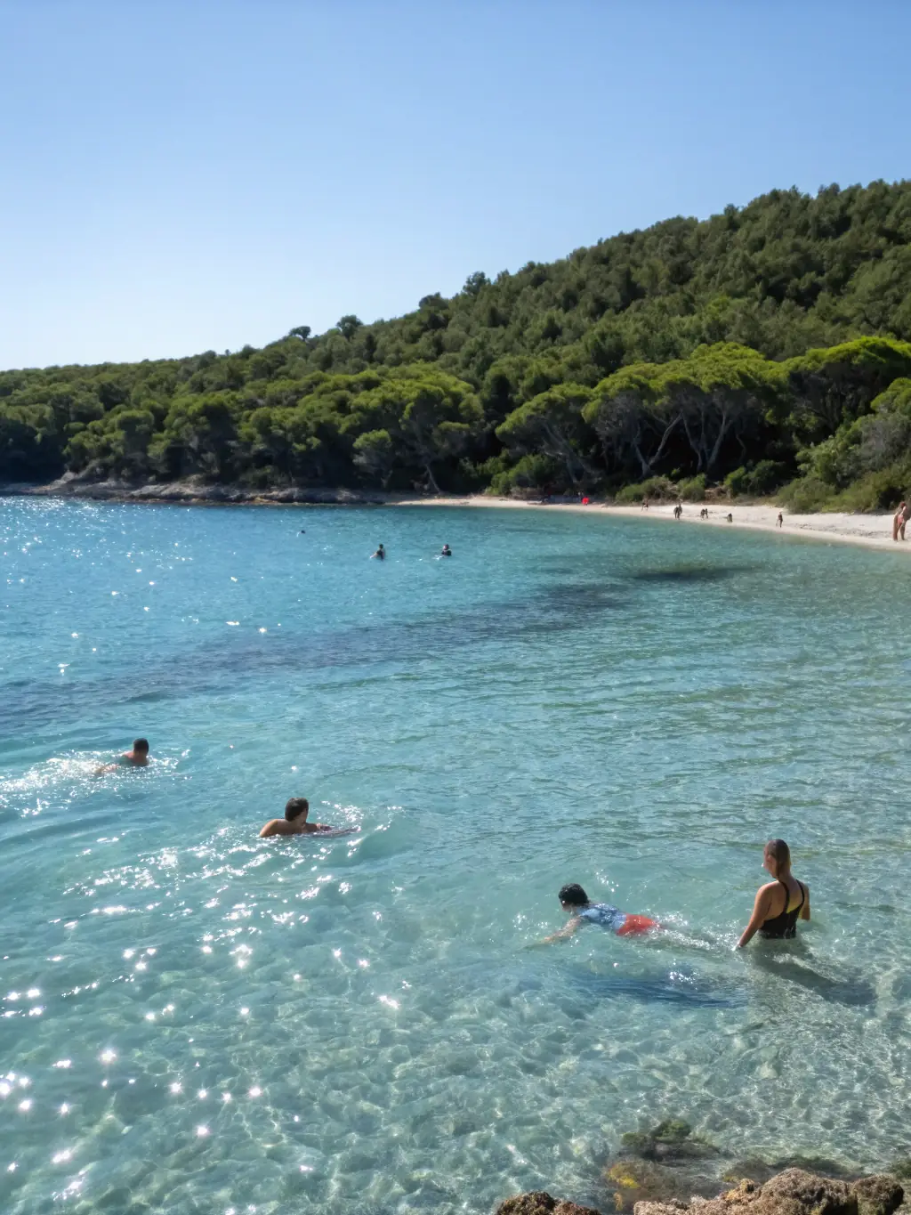 A group of people swimming and playing in a lake on a sunny day, capturing the fun and joy of a LES AMIS DE JJ swimming activity.